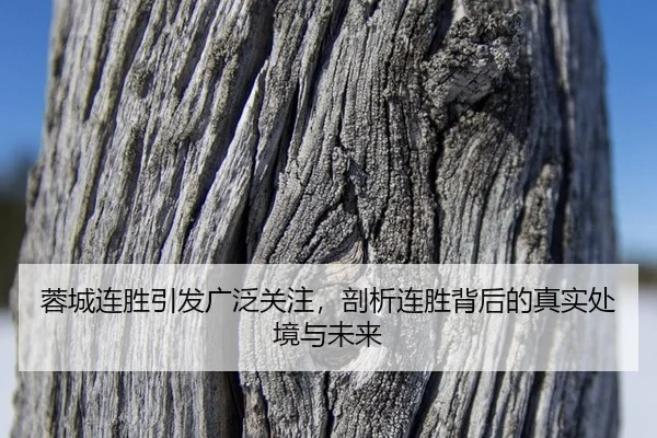 rong-cheng-lian-sheng-yin-fa-guang-fan-guan-zhu-pou-xi-lian-sheng-bei-hou-de-zhen-shi-chu-jing-yu-wei-lai-2-607.jpg